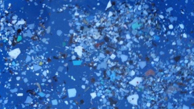 Mikro plastikler kutupların erimesine etki ediyor