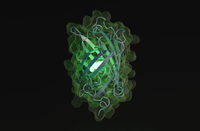 Yapay zeka, 500 milyon yıl sürecek evrimi saatler içinde tamamladı